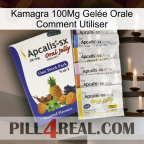 Kamagra 100Mg Gelée Orale Comment Utiliser 11